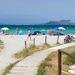 Myrsine 54 - Klodge Olbia