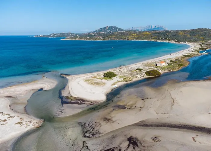 Apartment Myrsine 54 - Klodge Olbia