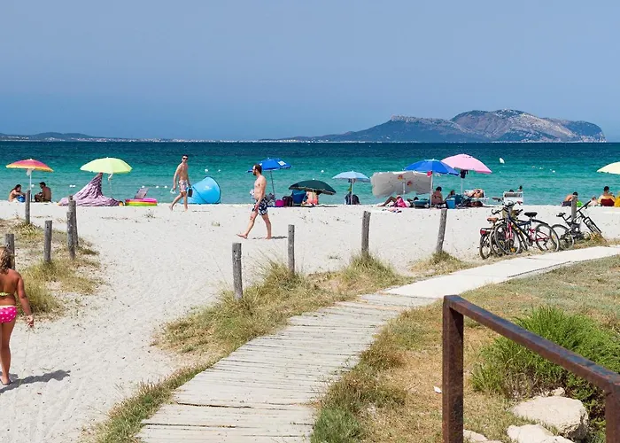 Myrsine 54 - Klodge Olbia