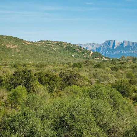 Apartamento Myrsine 54 - Klodge Olbia