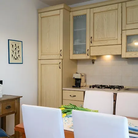 Myrsine 54 - Klodge Olbia