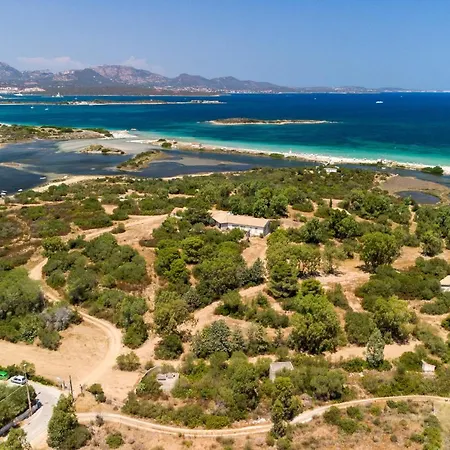 Myrsine 54 - Klodge Olbia