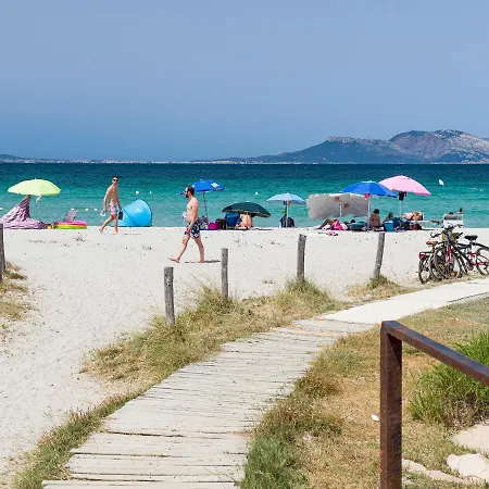 Myrsine 54 - Klodge Olbia