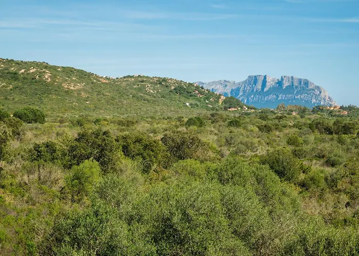 Apartamento Myrsine 54 - Klodge Olbia