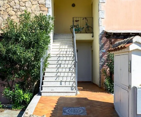 Myrsine 54 - Klodge Olbia