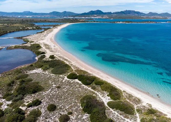 Apartamento Myrsine 54 - Klodge