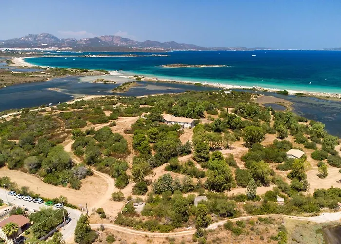 Myrsine 54 - Klodge Olbia